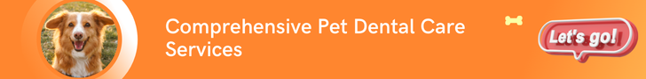 pet dental care